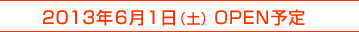 2013年6月1日(土)14時頃OPEN予定!